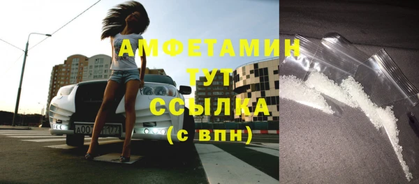 мет Алексин