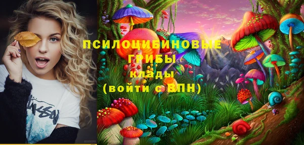 МДМА Алексеевка