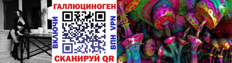 Псилоцибиновые грибы Cubensis  Болхов 