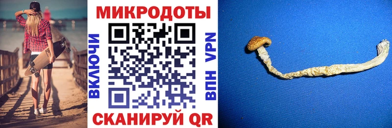 Псилоцибиновые грибы Psilocybe Болхов